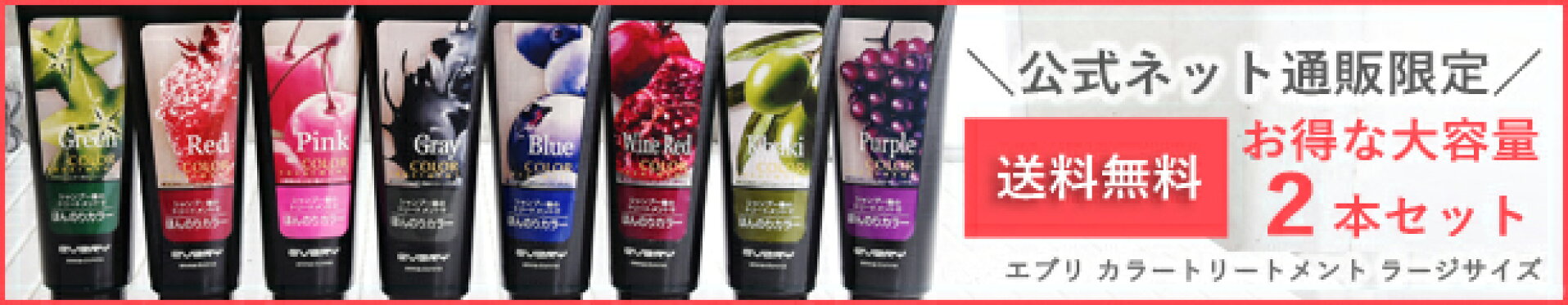 【公式ショップ限定】【送料無料】エブリ　カラートリートメントラージサイズ２本セット