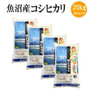 ߘa7NYV YRVqJ20kg(5kgx4)ykCElEBEz Ε Mtg