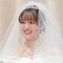 【ランキング 第1位 】【売れてます】 ミニティアラ　ウェディング ティアラ 結婚式 パール ティアラ 成人式 パーティー ブライダル 髪飾り 王冠 ニ次会 　小さめ　コームティアラ　ヘッドドレス ヘアアクセサリー ヘッドアクセサリー カチューシャ 花嫁 プチプラ