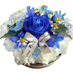 Mtg t[P[L yav[g zyV1ʁ  P[LAW o[Xf[ t[{bNX oy AWz ̔10ȏ u[[Y C{[[