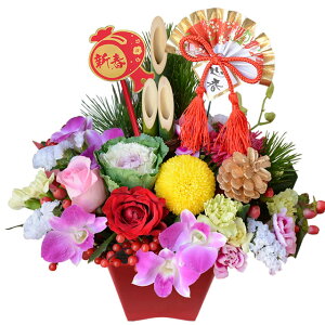  AWg 叼 Iׂ邨̂ԁE叼 V[Y --  AWg x ߔN  n tO V 痼 o  _ VN Mtg Ε