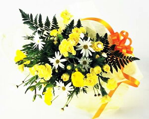 yl̓WzJ[l[Vƃ}[Kbg̉F̃u[P