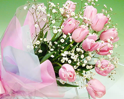 楽天市場 スプリング花 ギフト ピンクのチューリップとカスミソウのブーケ 歓迎 送迎 ホワイトデー 卒業 お祝い バレンタイン いつもアンのお花屋さん