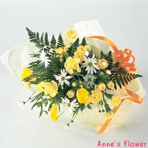 yԑzJ[l[VƋG߂̏ԂƉF̃u[P o^C zCgf[ w   AE i i ] y