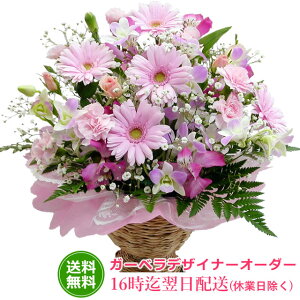 yav[g zya ԁzK[xfUCi[I[_[ Ε o   o^C zCgf[ w   AE i i ] y