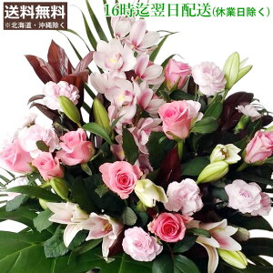 yX[p[SALEԌ̔z av[g  ya ԁz܂8000~R[X o KN   S j w   AE i i ]