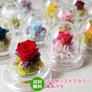 o^Cf[ Ɍ͂ȂoSF K^   I