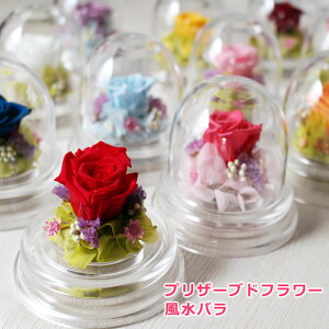 yvU[uht[z͂ȂoSFčK^̕I o^Cf[ zCgf[ 