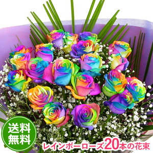  F̃oC{[[Y~N y20{̉ԑzj LO w   AE i i ]