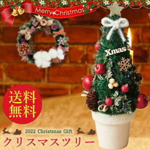 yNX}XWzNX}Xc[ NAP[Xt Mtg  Y 28cm  XM  荠 TCY hCt[ vU[uht[ NX}X Xmas v[g   