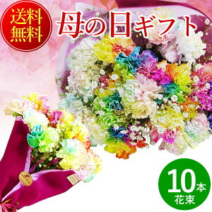 生花 レインボーカーネーションの人気商品 通販 価格比較 価格 Com 生花 レインボーカーネーションの人気商品 通販 価格比較 価格 Com