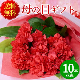 遅れてごめんね！ 母の日 プレゼント 花 赤カーネーションの花束10本 送料無料