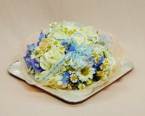 yazt[P[L zCgu[ o o^C zCgf[ w   AE i i ] y