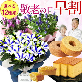 早割開催中！ ◇楽天1位◇ 【敬老の日 ギフト 2026 送料無料】選べる敬老の日の鉢植え【白寿 りんどう お菓子セット スイーツセット】 毎年完売 敬老の日 ギフト 花 花とセット 還暦 古希 喜寿 傘寿 米寿 卒寿 白寿 紀寿 百寿