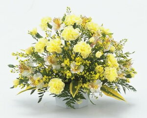 ŷԁzF̃J[l[V o^C zCgf[ w   AE i i ] y