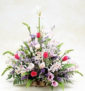 yX[p[SALEԌ̔zyzŷԁzDsÑoƃ w   AE i i ]