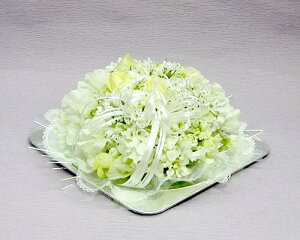 yN[|150~zav[g yzyâԁzo[Xf[t[P[L zCg   w   AE i i ]