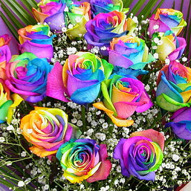 虹色のバラ レインボーローズミラクル 誕生日 結婚祝い 入学 入社 入園 就職 進級 昇進 転勤