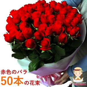 ya o ԑz ԃo50{̉ԑ  Mtg  Mtg a v[g LO j  j w   AE i i ]