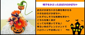 帽子をかぶったおばけかぼちゃ