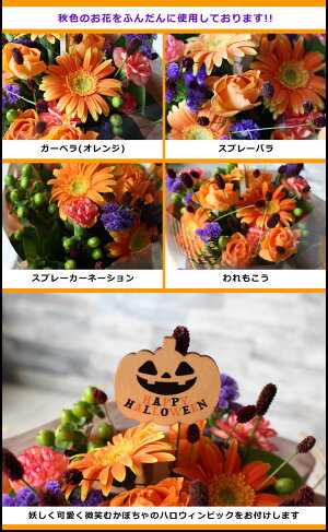 秋色のお花がいっぱい