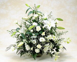 y ԁz^ȔԂ̃AW ފ ފ y  AW   y