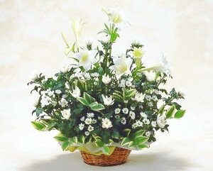 yN[|150~zy ԁziȃƋe ފ ފ y  AW   y