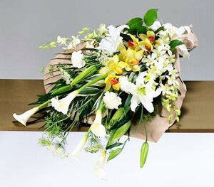 y ԁzԑ1 ފ ފ y  ԑ   y