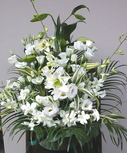 y ԁzJTuJƃ̔AW ފ ފ  AW y