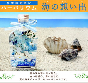 ハーバリウム海の想い出