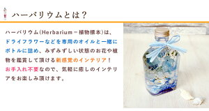 ハーバリウムとは