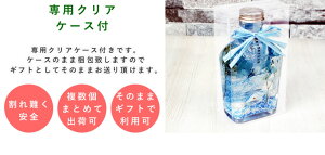 クリアケース付き