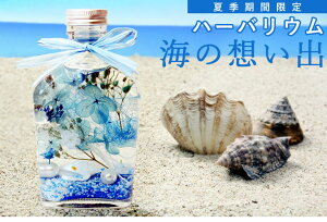 ハーバリウム海の想い出