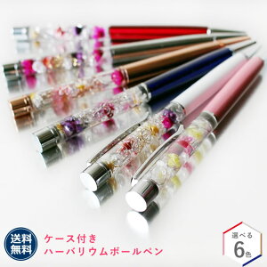 P[X  n[oE {[y  Mtg  vU[uht[ hCt[ AW{ Mtg Ԃ a v[g LO j w  AE j 