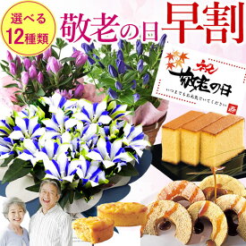 早割 開催中！ ◇楽天1位◇ 【 敬老の日 ギフト 2026 送料無料 】選べる敬老の日の鉢植え【 白寿 りんどう お菓子セット スイーツセット 】 毎年完売 敬老の日 ギフト 花 花とセット 還暦 古希 喜寿 傘寿 米寿 卒寿 白寿 紀寿 百寿 敬老の日までにお届け