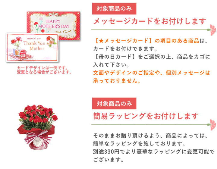 楽天市場 遅れてごめんね 母の日 プレゼント 花 ギフト 花とスイーツ セット カーネーション 鉢植え 5号鉢 変わり咲き 選べる 生花 鉢 ギフトセット スイーツ 送料無料 いつもアンのお花屋さん 楽天市場 遅れてごめんね 母の日 プレゼント 花 ギフト 花とスイーツ セット カーネーション 鉢植え 5号鉢 変わり咲き 選べる 生花 鉢 ギフトセット スイーツ 送料無料 いつもアンのお花屋さん
