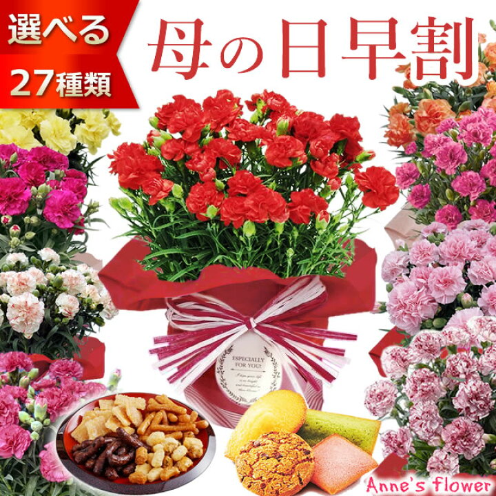 楽天市場 早割 クーポン配布中 母の日 プレゼント 花 ギフト 花とスイーツ セット カーネーション 鉢植え 5号鉢 選べる 生花 鉢 ギフトセット スイーツ 送料無料 いつもアンのお花屋さん