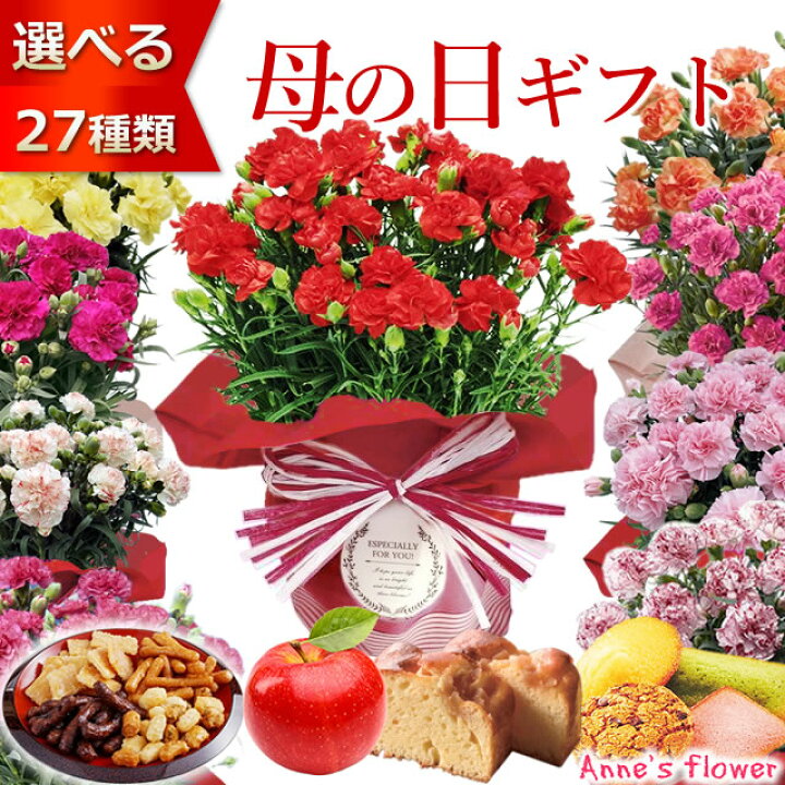 楽天市場 遅れてごめんね 母の日 プレゼント 花 ギフト 花とスイーツ セット カーネーション 鉢植え 5号鉢 変わり咲き 選べる 生花 鉢 ギフトセット スイーツ 送料無料 いつもアンのお花屋さん