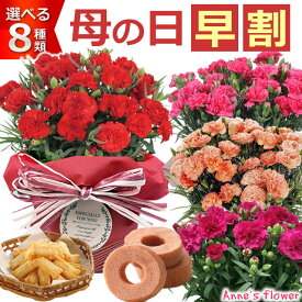 早割300円OFF！ 母の日 プレゼント 花 ギフト 花とスイーツ セット カーネーション 鉢植え 5号鉢 選べる 生花 鉢 ギフトセット スイーツ 送料無料