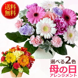 早割開催中！ 母の日 ギフト プレゼント ラブリーママ アレンジ 送料無料 カーネーション ガーベラ 母の日 フラワー アレンジメント