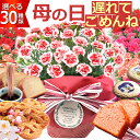 遅れてごめんね！ 母の日 プレゼント 花 ギフト カーネーション 鉢植え 5号鉢 クッキー 食べられる お花のクッキー あ…