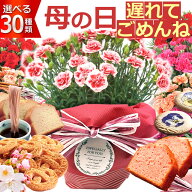 遅れてごめんね！ 母の日 プレゼント 花 ギフト カーネーション 鉢植え 5号鉢 クッキー 食べられる お花…