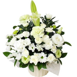 y ԁz G߂̂ 䋟̂ S r ފ ފ  AW  V ʖ  y