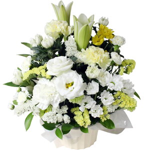 y ԁz G߂̂ 䋟̂ S r ފ ފ  AW  V ʖ  y