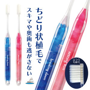 yǂfUCnuVSkyzuV@nuV@ǂ@@fUC@킢@@XlbN@ӂ@זс@ׁ@AkV@{