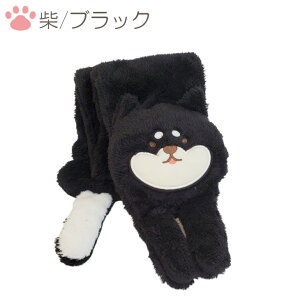 ubNtCf[ }t[ 킢}t[ Č}t[ Aj}}t[ ʂ݃}t[  {A  XJ[t   RR {A ѕz  ~ ӂӂ g 