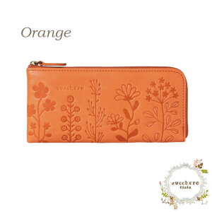 ԌP10 YbP z Ehz Xz z z zucchero z fB[X J[h[ RpNg OEHbg { {v U[ EHbg  l