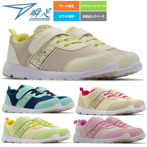 u SYUNSOKU  ݂R炵 LbY WjA V[Y SKF2500 C-250