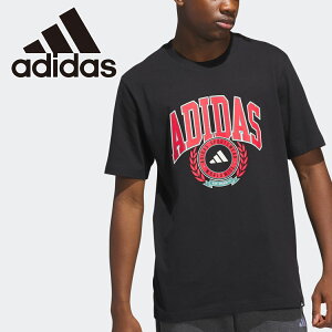 y}\AMAX3,000~OFFN[|s!!L:11/4()20:00~11/11()01:59z[֔z AfB_X M VSTY CREST TVc JVH80-JV8443 Y