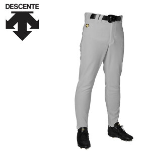 fTg DESCENTE 싅 Opc Y DB-1010LPB-SLV
